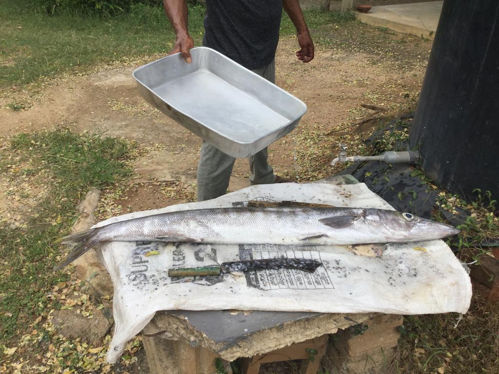 Tranquality Chalets Tangalle Kültér fotó