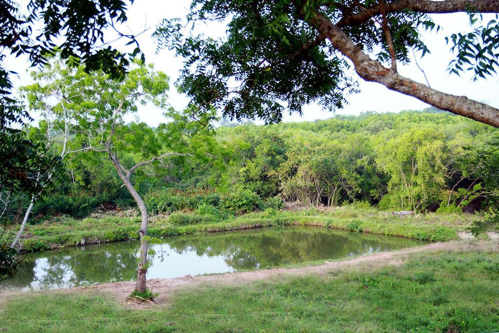 Tranquality Chalets Tangalle Kültér fotó